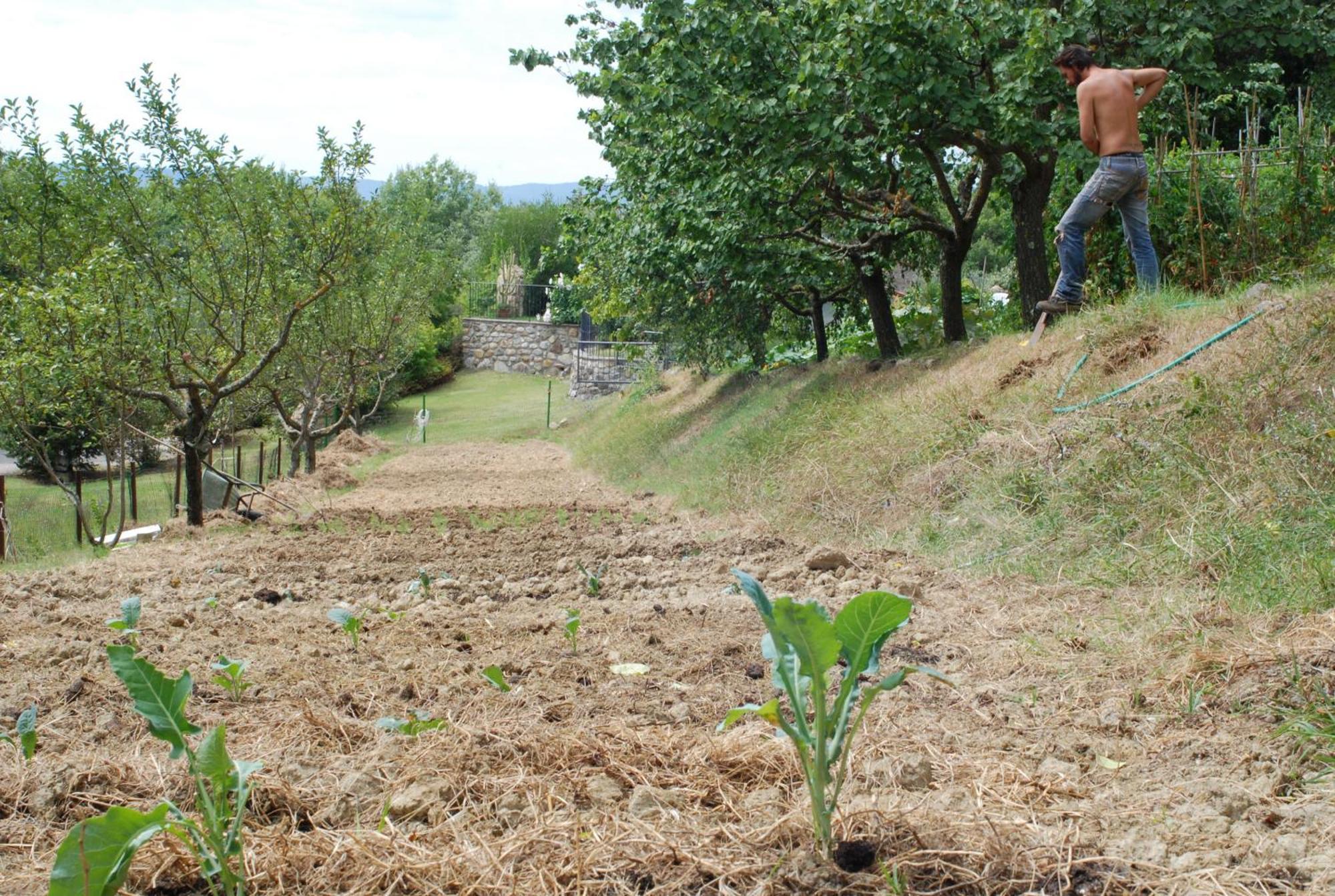 Agriturismo Fattoria Walden Ficulle 外观 照片
