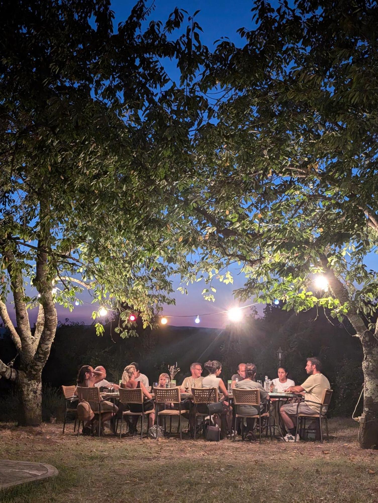 Agriturismo Fattoria Walden Ficulle 外观 照片
